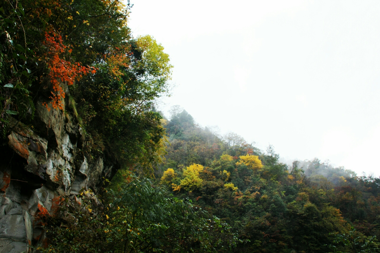 讓我們相約在油草河,大風堡,太陽湖,欣賞最美麗的秋景!