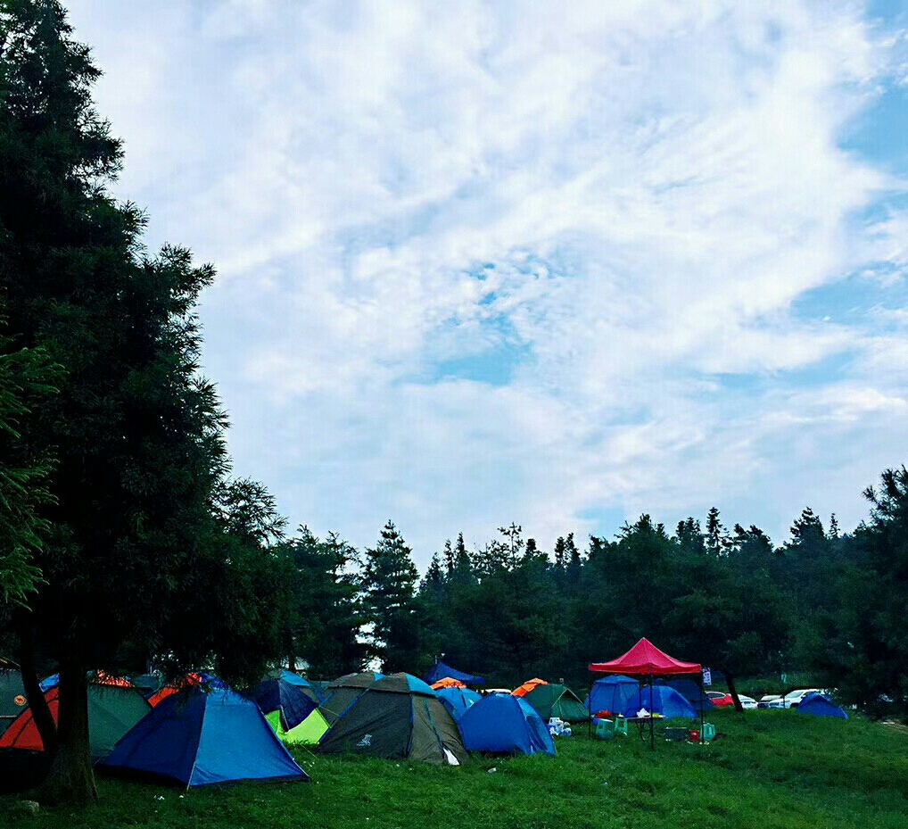 千野草场,露营天堂!