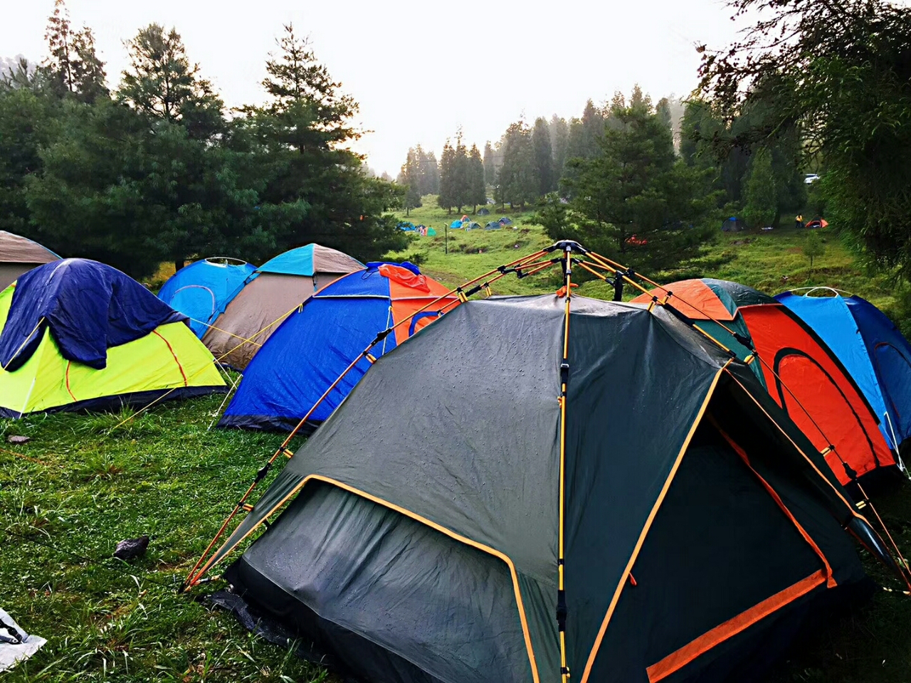 千野草场,露营天堂!
