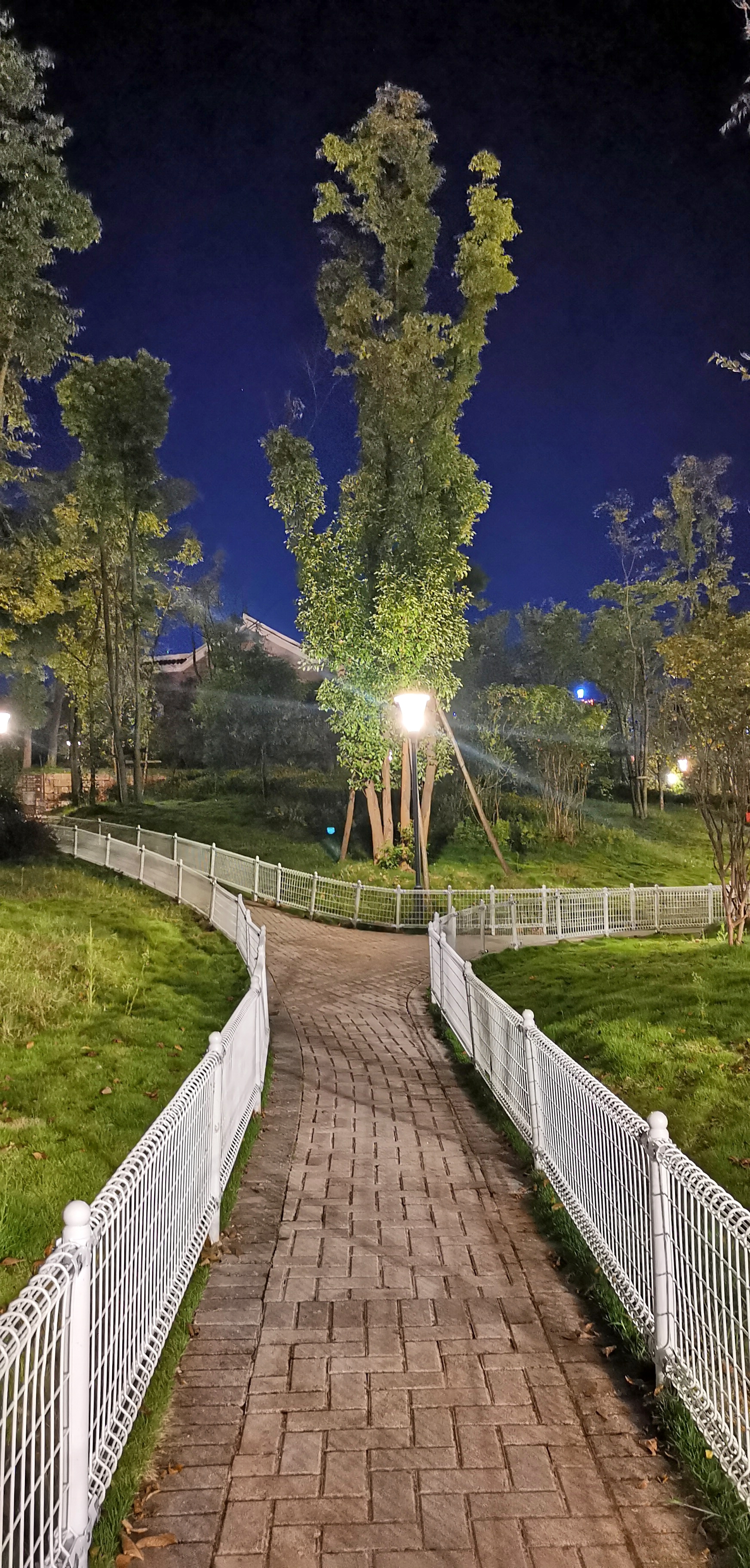 装上护栏的太白岩公园就像走八卦阵爽歪歪的